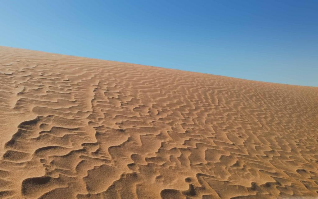 阿尔及利亚沙漠Mac壁纸