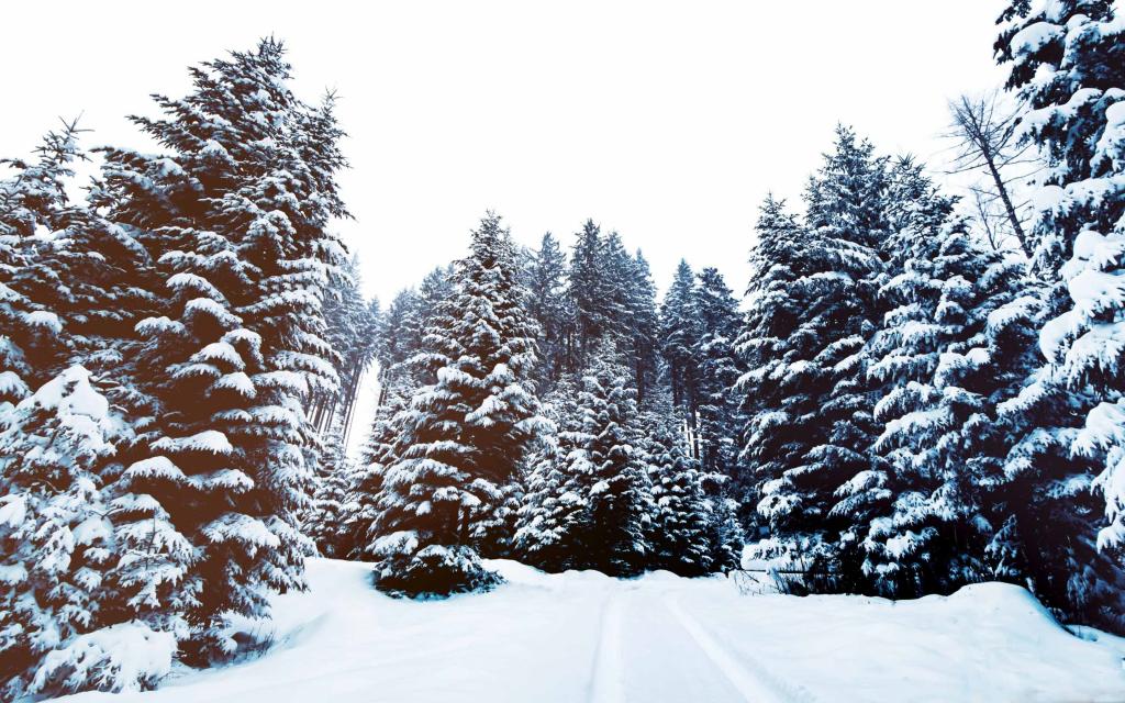冬季风景自然Mac壁纸