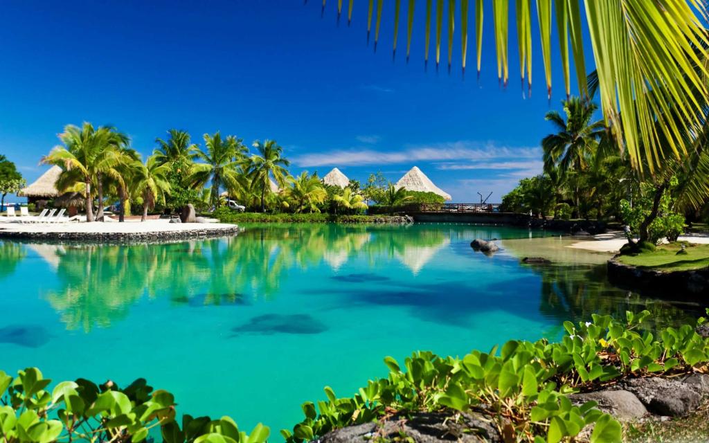热带岛屿游泳池Mac壁纸