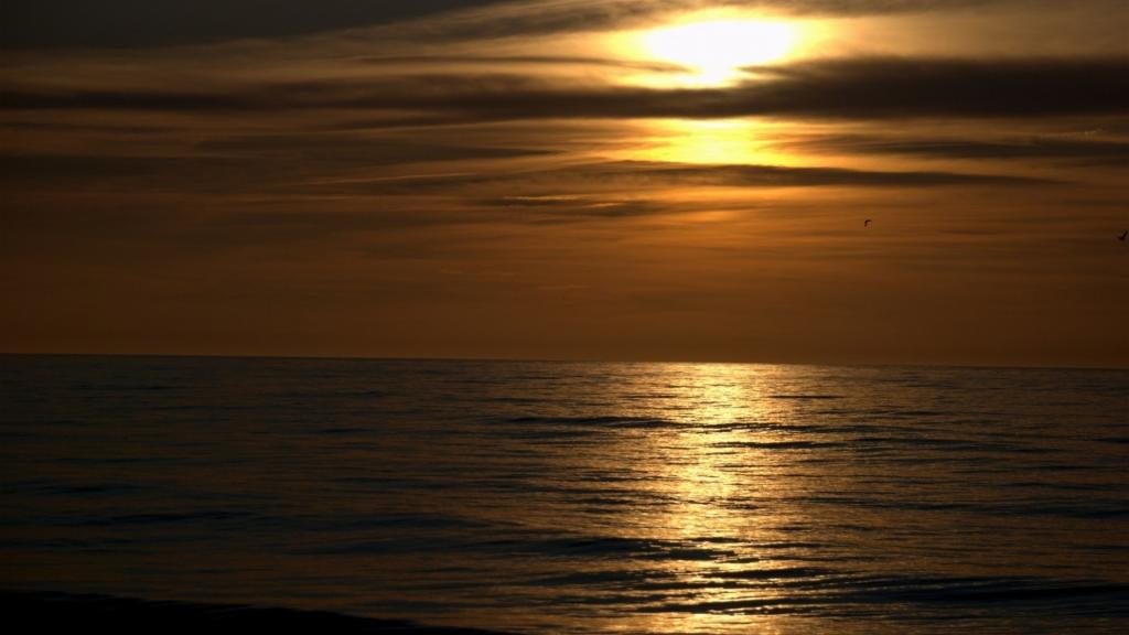 黑暗日落海滩Mac壁纸