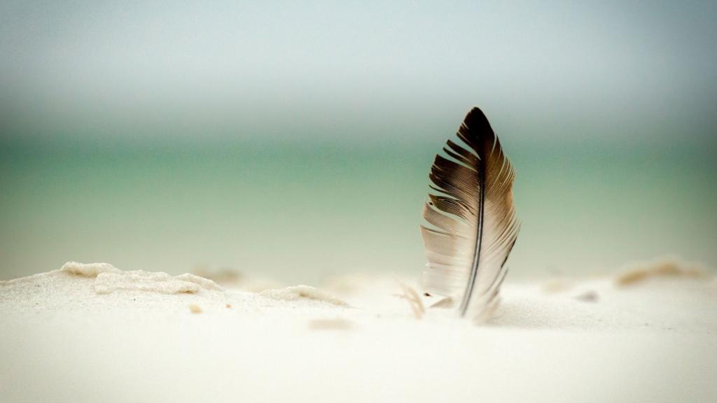 在沙子Mac墙纸的羽毛
