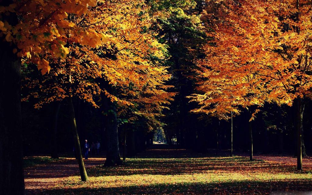秋季风景Mac壁纸
