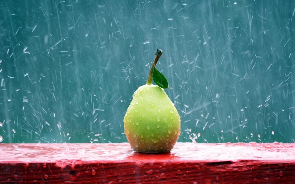 在雨Mac壁纸的绿色梨
