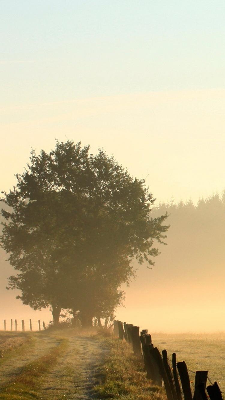 有雾的乡下早晨iPhone 6壁纸