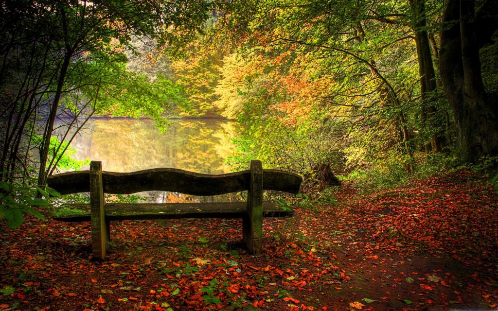 在秋天的场景Mac壁纸空凳子