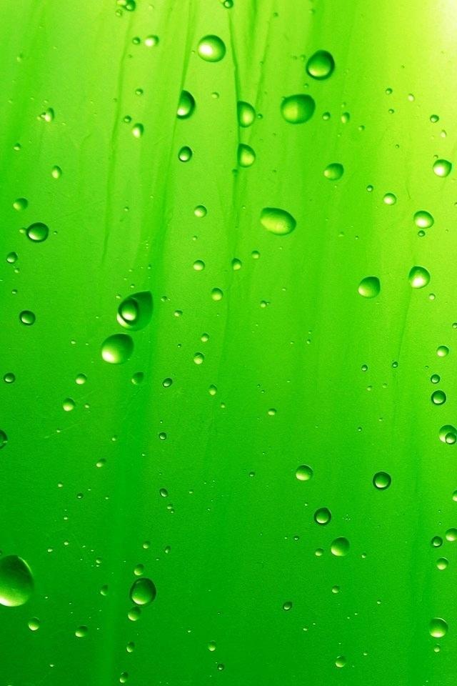 绿雨下载iPhone壁纸