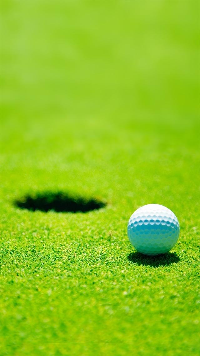 高尔夫球草地洞iPhone 5的壁纸