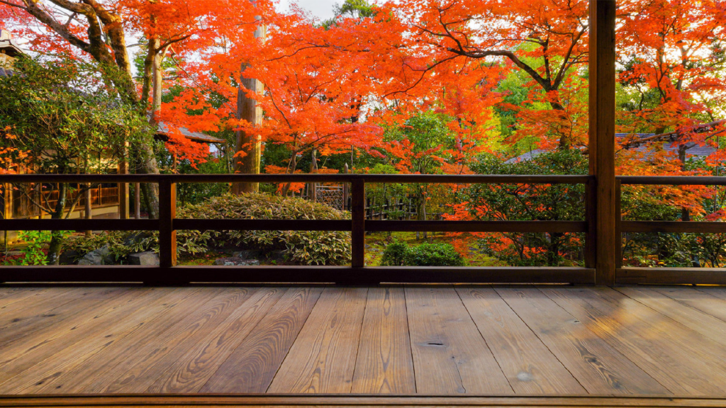 唯美红枫日式庭院风景