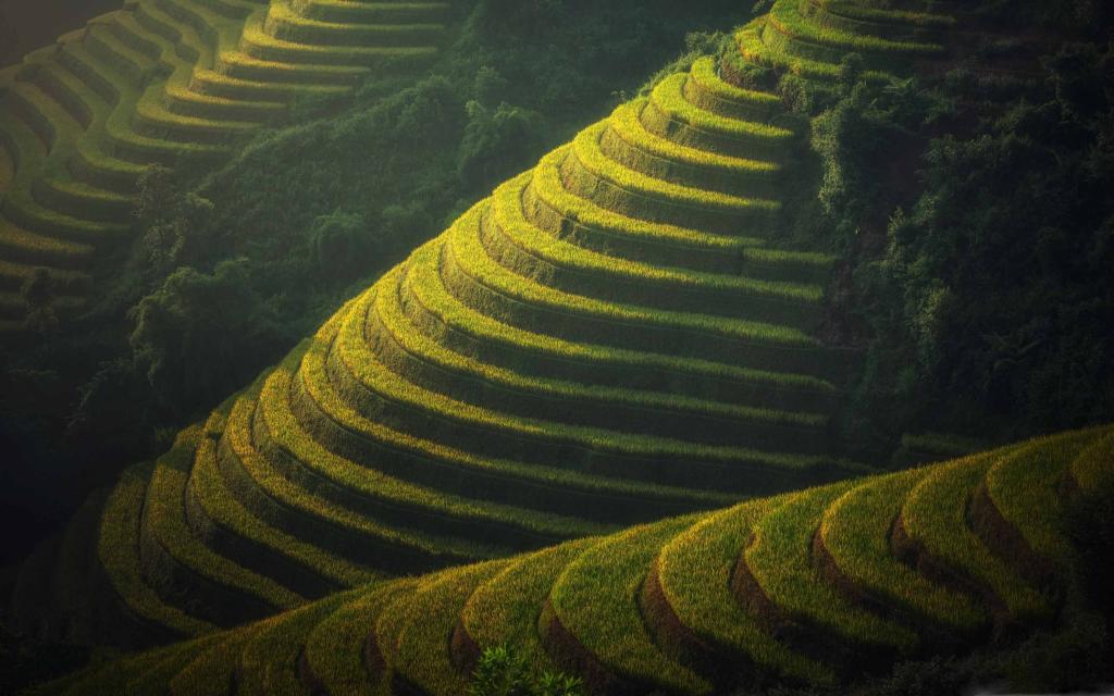 美丽的水稻梯田景观Mac壁纸