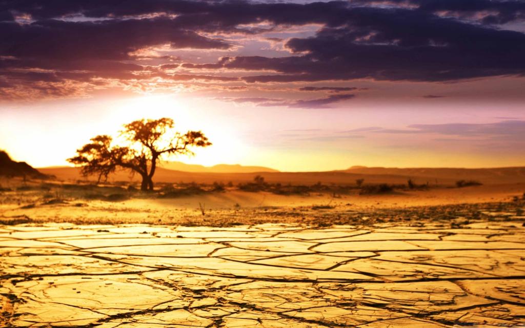 非洲风景Mac壁纸