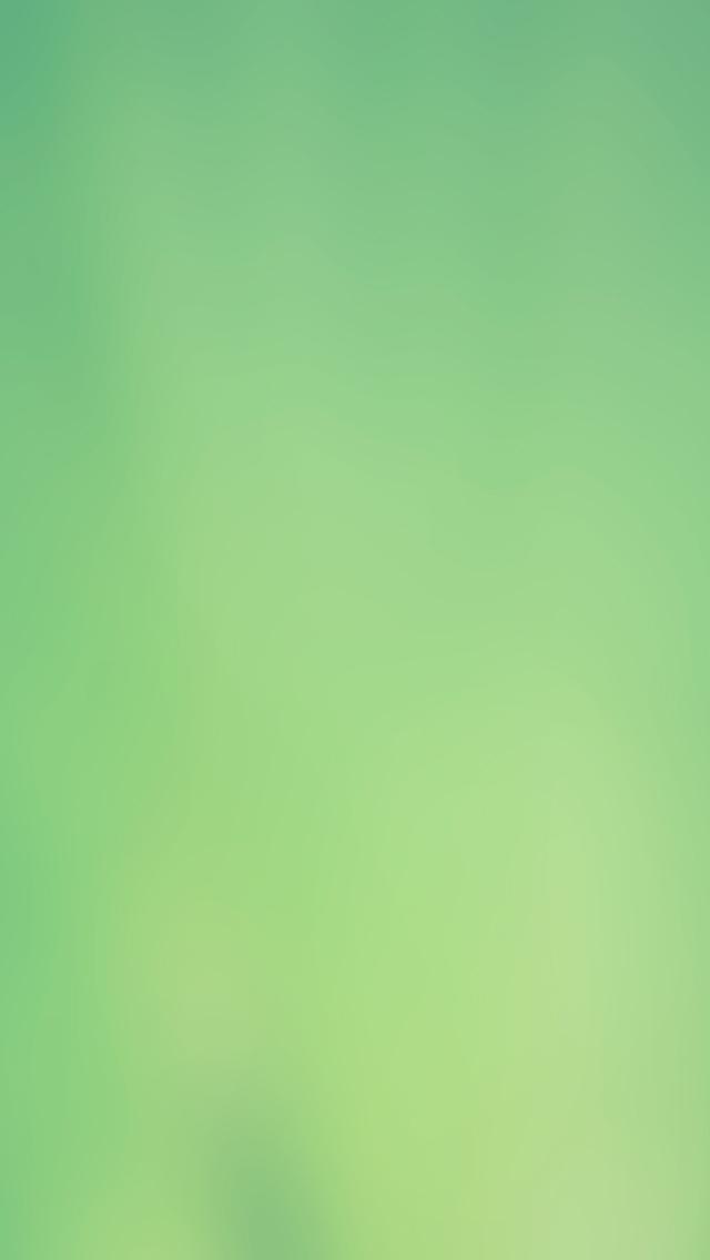 简单的新鲜绿色丛林iPhone 5壁纸