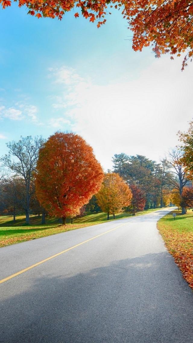 农村道路美丽的秋天风景iPhone 5壁纸