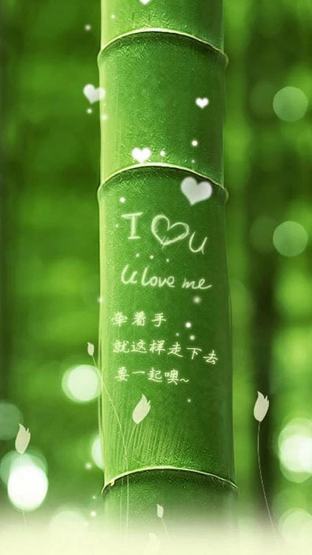 我爱你绿竹iPhone 6加高清壁纸