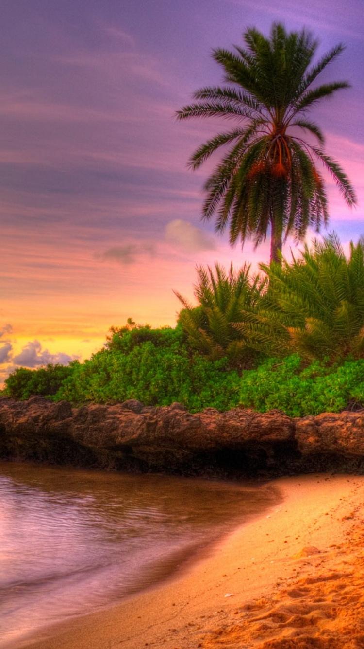 海滩日落热带岛屿iPhone 6壁纸