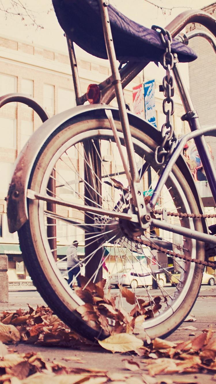 老式的时髦自行车链式iPhone 6壁纸