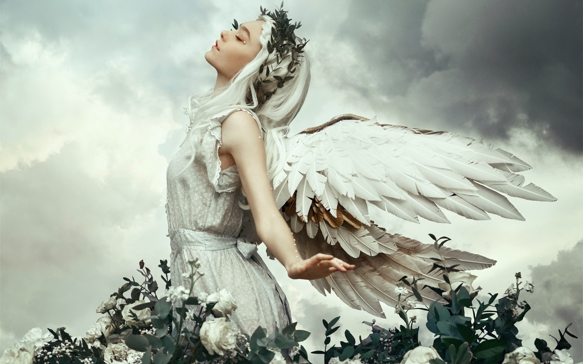 400,000+张最精彩的“天使”图片 · 100%免费下载 · Pexels素材图片